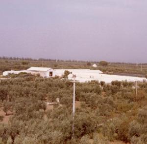1975 Panoramica